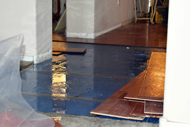Professional Burst Pipe Water Damage technician working in Bensenville, IL